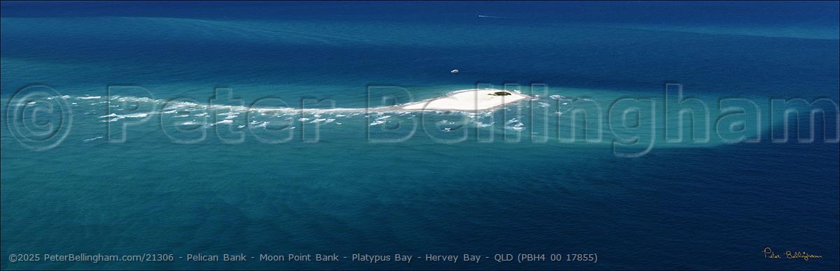 Peter Bellingham Photography Pelican Bank - Moon Point Bank - Platypus Bay - Hervey Bay - QLD (PBH4 00 17855)